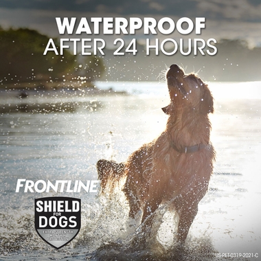 FRONTLINE-SHIELD-FLEA-TICK-TREATMENT-81LBS-12MNTH