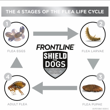 FRONTLINE-SHIELD-FLEA-TICK-TREATMENT-21LBS-3MNTH