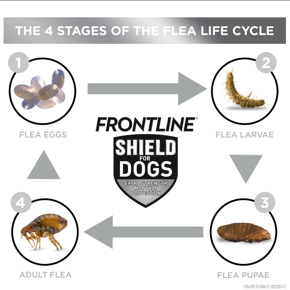 FRONTLINE-SHIELD-FLEA-TICK-TREATMENT-21LBS-3MNTH
