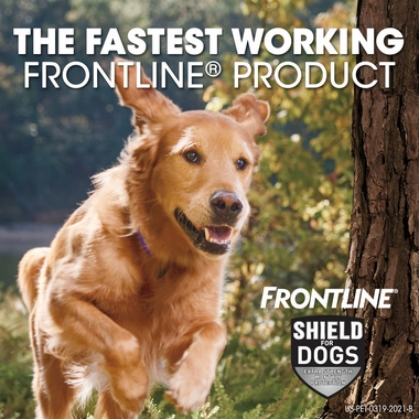FRONTLINE-SHIELD-FLEA-TICK-TREATMENT-21LBS-3MNTH