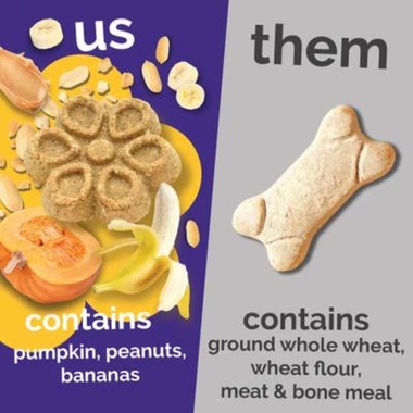 FRUITABLES-BIGGIES-PEANUT-BUTTER-BANANA-16OZ