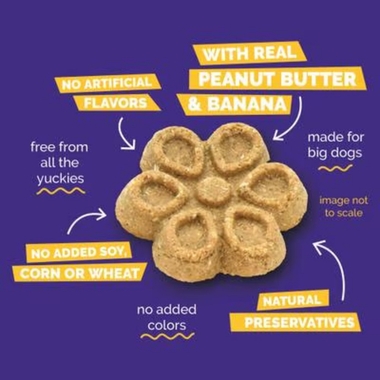 FRUITABLES-BIGGIES-PEANUT-BUTTER-BANANA-16OZ