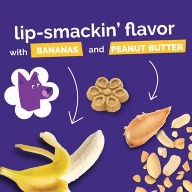 FRUITABLES-BIGGIES-PEANUT-BUTTER-BANANA-16OZ