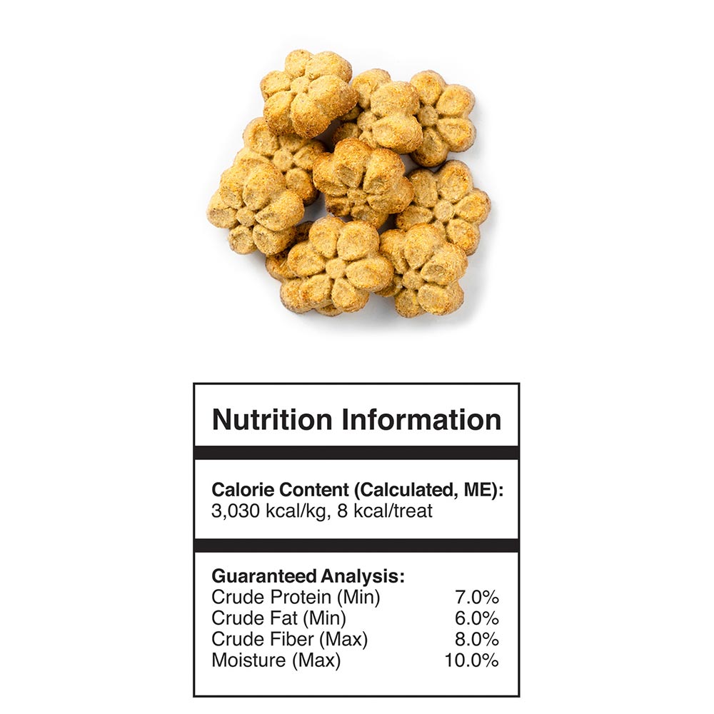 FRUITABLES-DOG-BACON-APPLE-12OZ