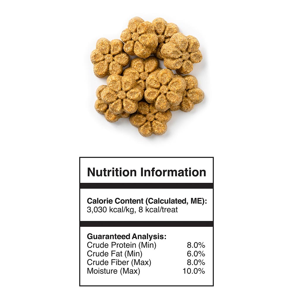 FRUITABLES-DOG-PUMPKIN-BANANA-12OZ