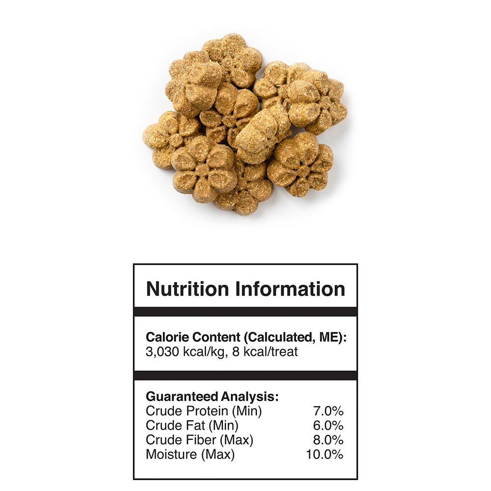 FRUITABLES-DOG-PUMPKIN-BLUEBERRY-12OZ