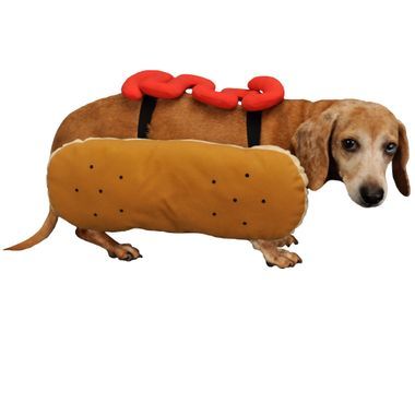 FUNNY-COSTUMES