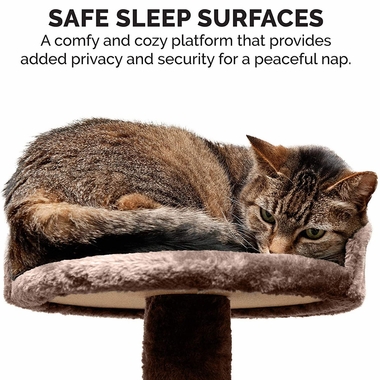 FURHAVEN-CAT-FURNITURE-PLAY-STAIR-BROWN