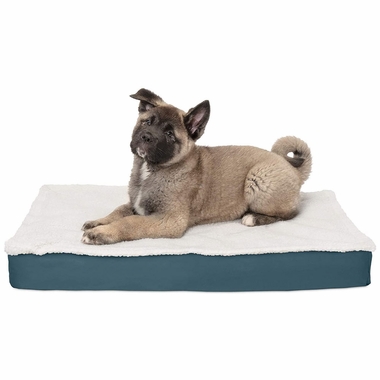 FURHAVEN-CONVERTIBLE-ORTHOPEDIC-BED-BLUE-MEDIUM