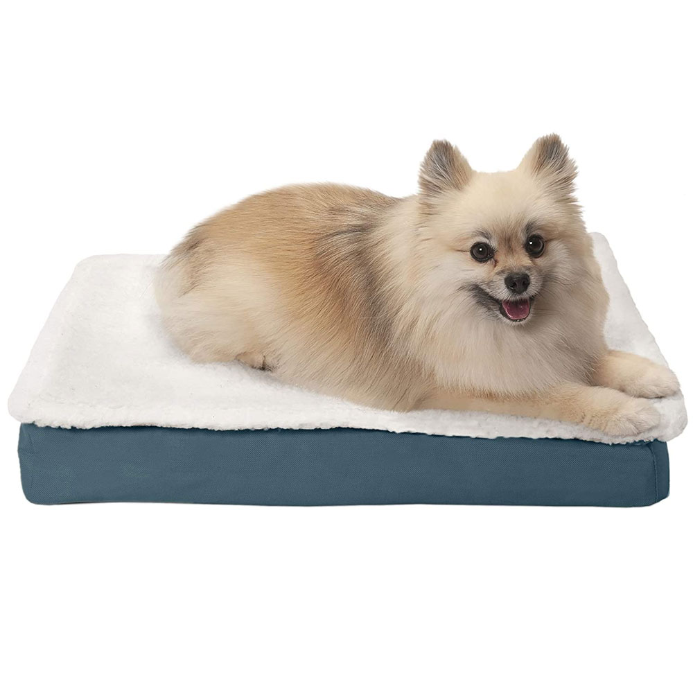 FURHAVEN-CONVERTIBLE-ORTHOPEDIC-BED-BLUE-SMALL