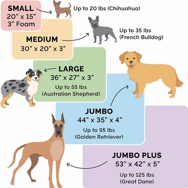 FURHAVEN-CONVERTIBLE-ORTHOPEDIC-BED-SAND-MEDIUM