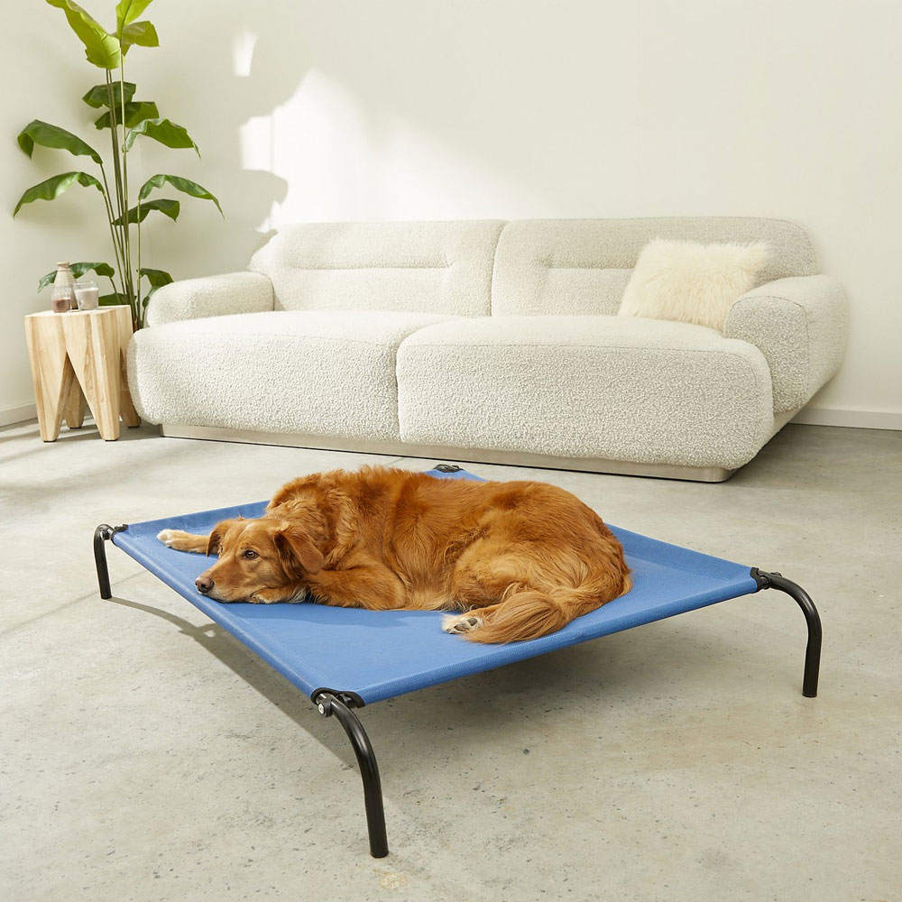 ELEVATED-REINFRCDPT-COTDGBD-DPBLU-LG