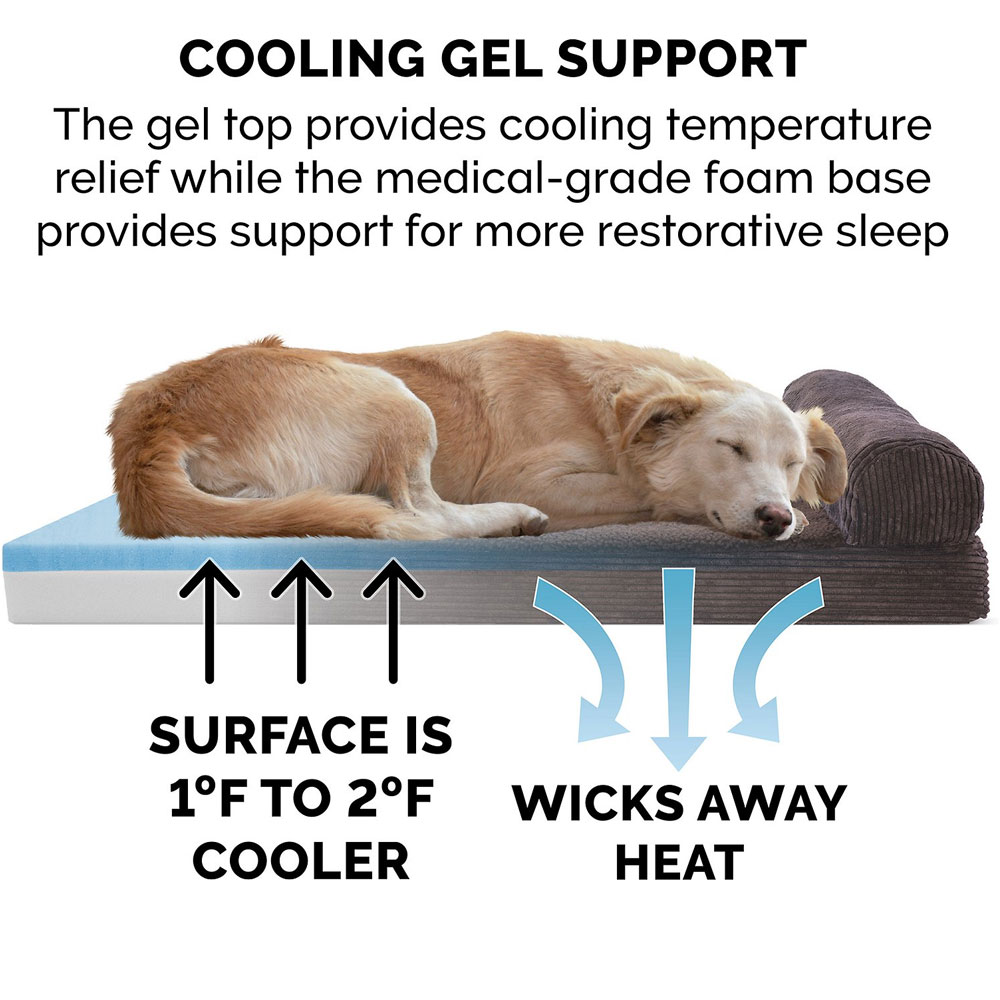 FUXFLECE-CRDURY-CHASELUNGE-COLINGGEL-TPSOFAPTBD-DRKESPRSO-JMBPLS