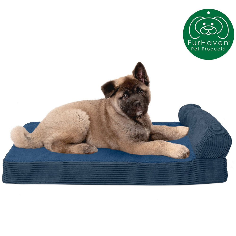 FUXFLECE-CRDURY-CHASELUNGE-COLINGGEL-TPSOFAPTBD-NVYBLU-JMBPLS