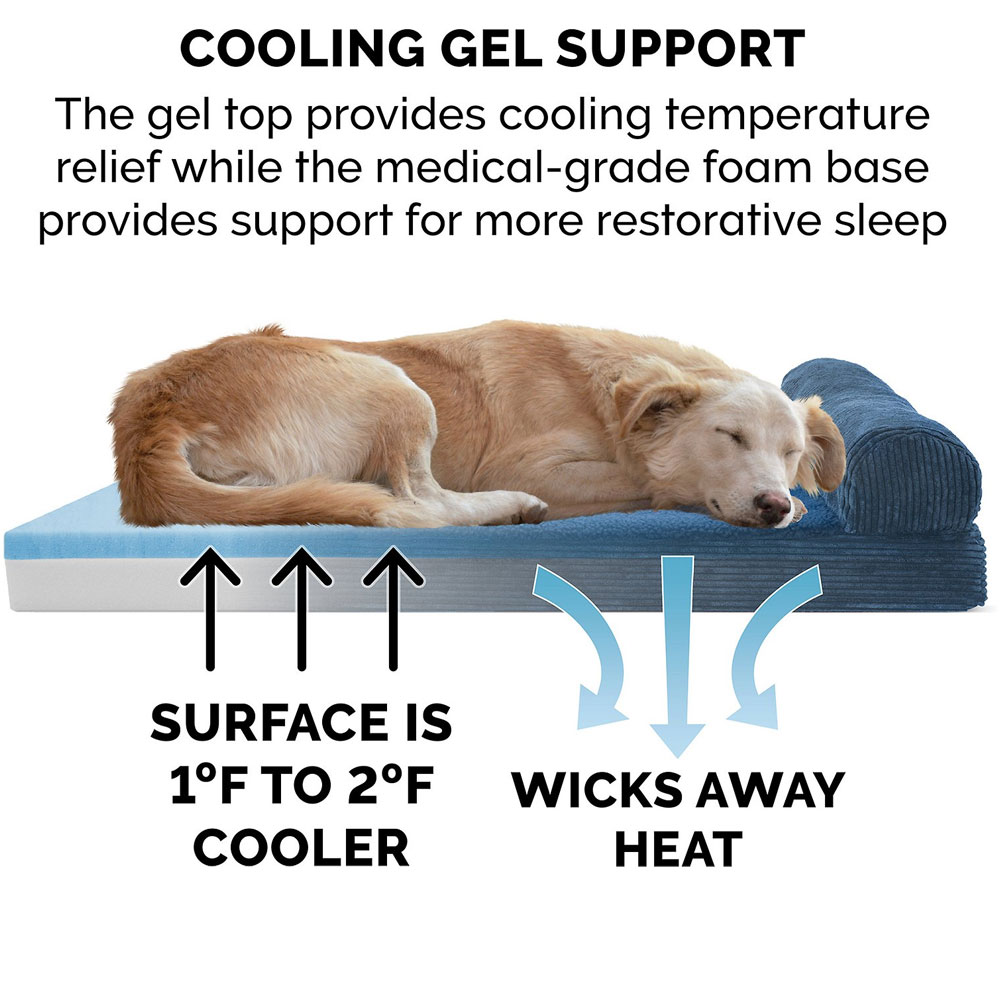 FUXFLECE-CRDURY-CHASELUNGE-COLINGGEL-TPSOFAPTBD-NVYBLU-JMBPLS