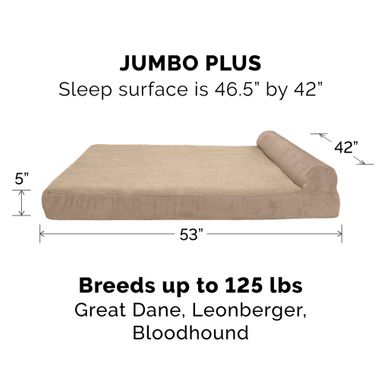 FUXFLECE-CRDURY-CHASELUNGE-COLINGGEL-TPSOFAPTBD-SNDSTNE-JMBPLS