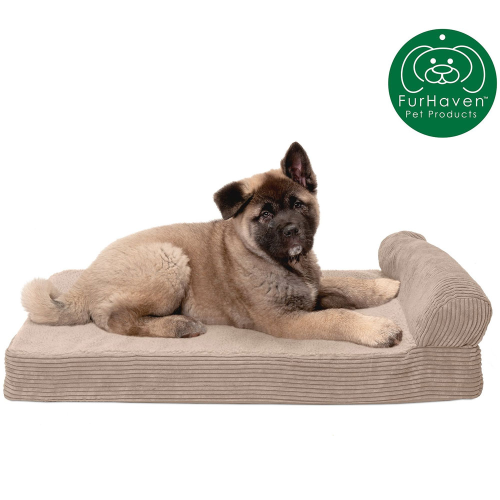 FUXFLECE-CRDURY-CHASELUNGE-COLINGGEL-TPSOFAPTBD-SNDSTNE-JMBPLS