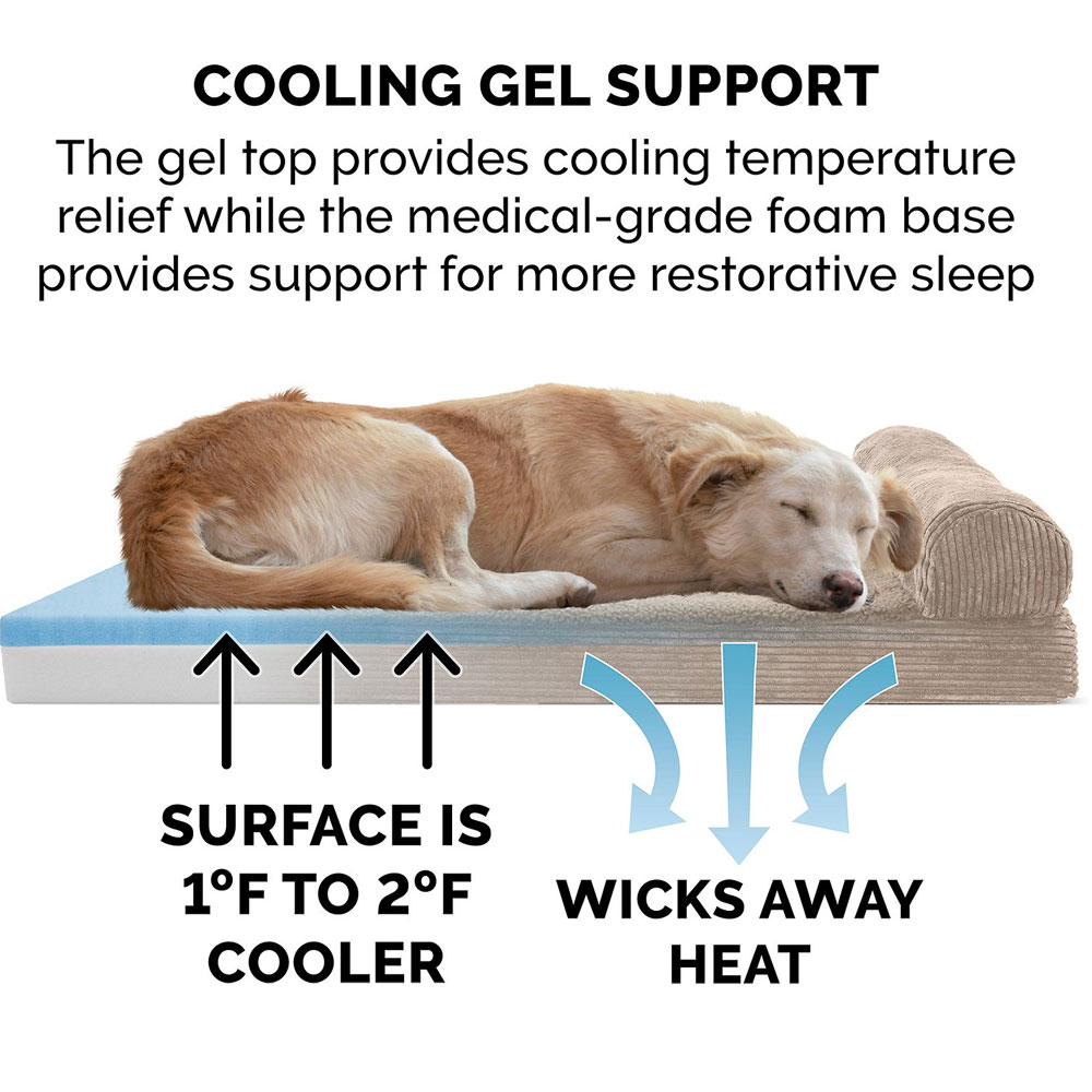 FUXFLECE-CRDURY-CHASELUNGE-COLINGGEL-TPSOFAPTBD-SNDSTNE-JMBPLS