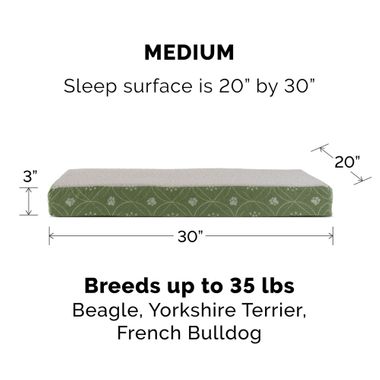 FUXSHEPSIN-FLNELPWDCOR-PRNTDLX-MMRYFOM-PTBD-JDEGRN-MD