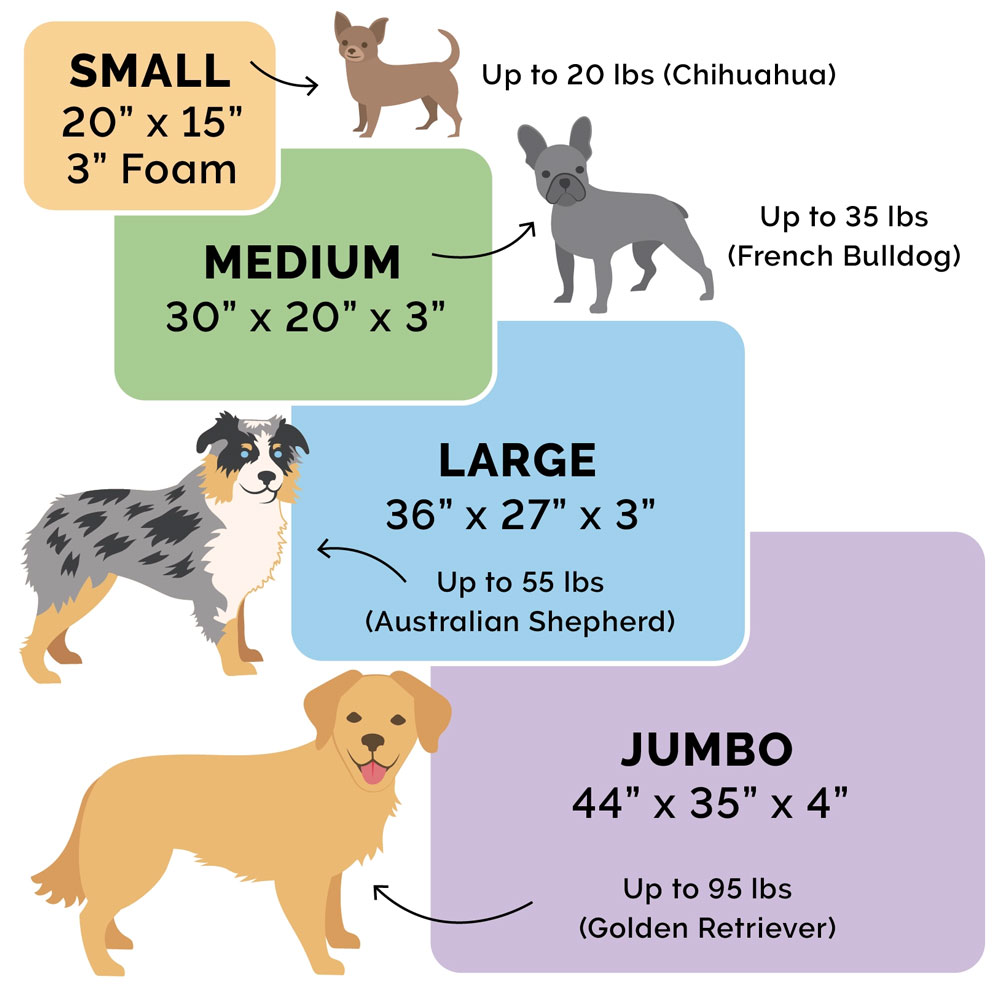 FUXSHEPSIN-FLNELPWDCOR-PRNTDLX-MMRYFOM-PTBD-JDEGRN-SM