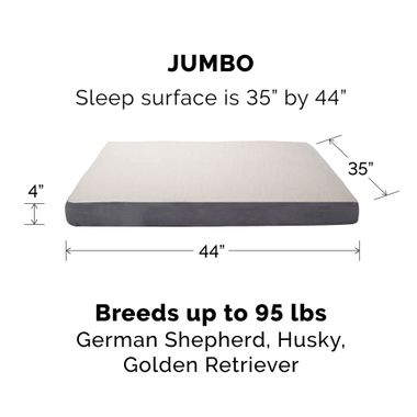 FUXSHEPSIN-SUDEDLX-COLNGGLTP-PTBD-ESPRESO-JMB