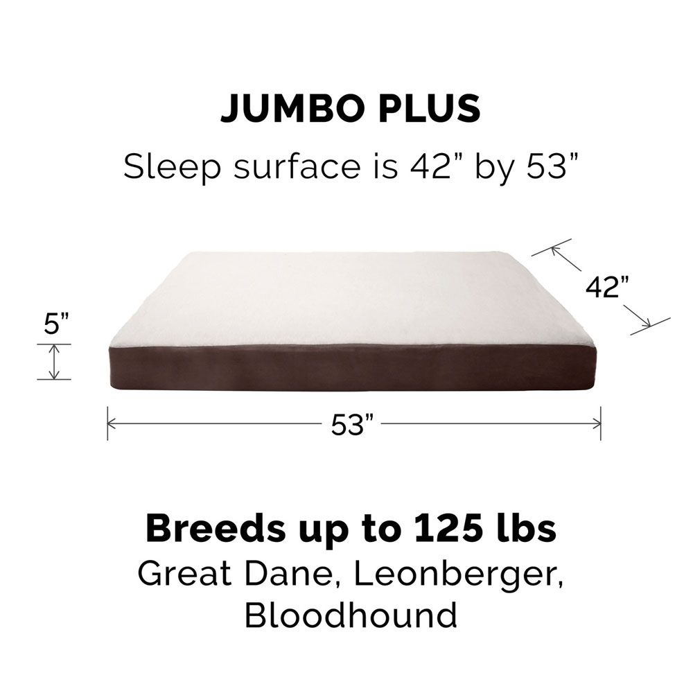 FUXSHEPSIN-SUDEDLX-COLNGGLTP-PTBD-ESPRESO-JMBPLS