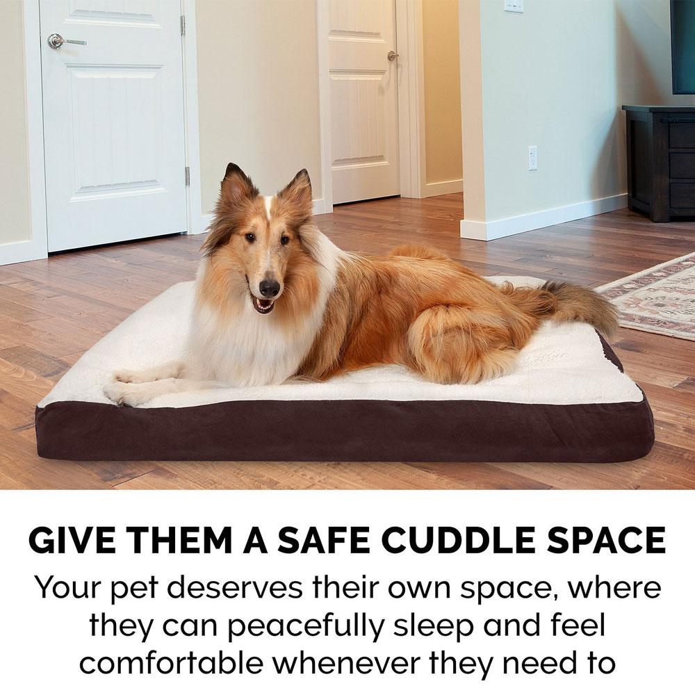 FUXSHEPSIN-SUDEDLX-COLNGGLTP-PTBD-ESPRESO-JMBPLS