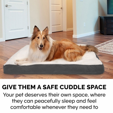 FUXSHEPSIN-SUDEDLX-COLNGGLTP-PTBD-GRY-LG