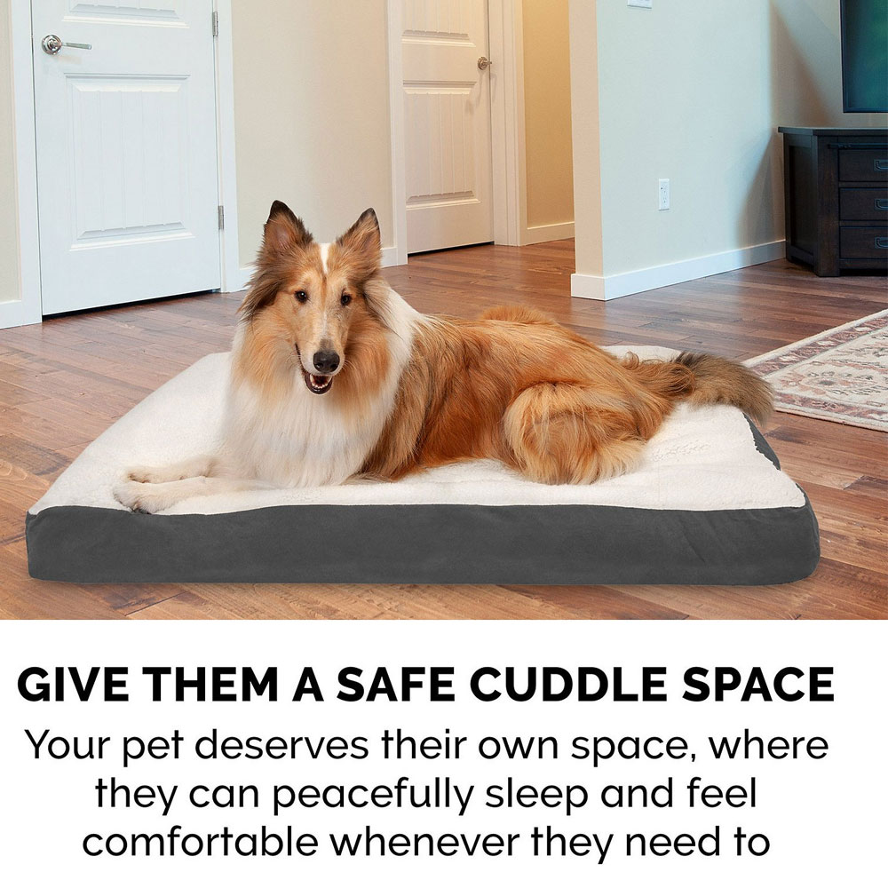 FUXSHEPSIN-SUDEDLX-COLNGGLTP-PTBD-GRY-LG