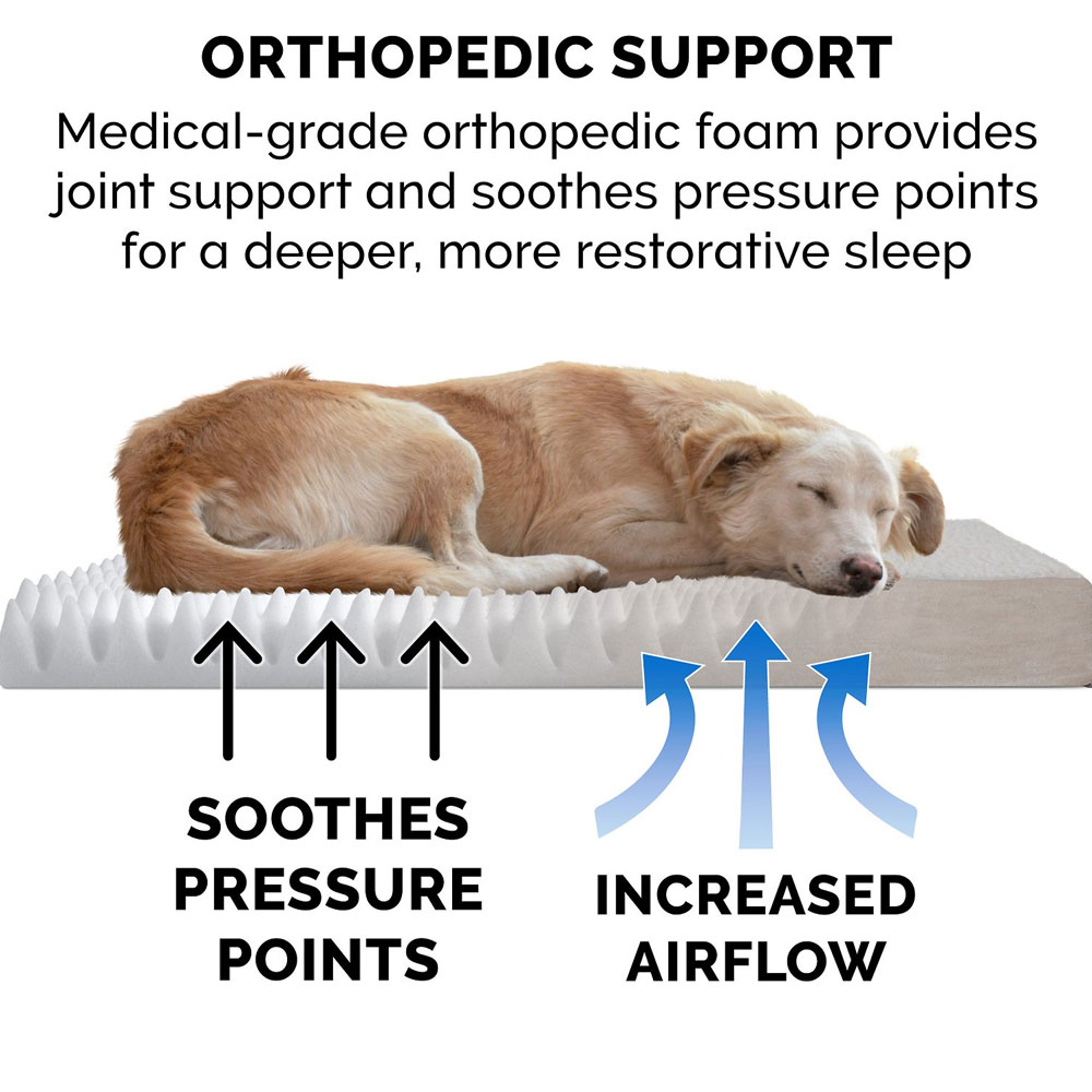FUXSHEPSKN-SUEDEDLX-ORTHPDIC-PTBD-CLY-SM