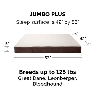 FUXSHEPSKN-SUEDEDLX-ORTHPDIC-PTBD-ESPRESO-JMBPLS