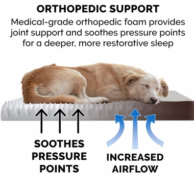 FUXSHEPSKN-SUEDEDLX-ORTHPDIC-PTBD-ESPRESO-JMBPLS
