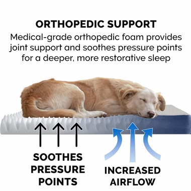 FUXSHEPSKN-SUEDEDLX-ORTHPDIC-PTBD-NVY-SM