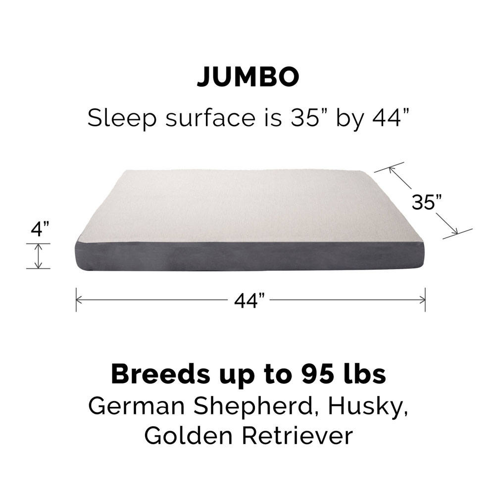 FUXSHEPSIN-SUEDMMRYFOM-PTBD-ESPRESO-JMB