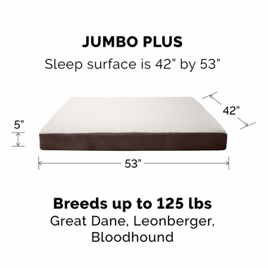 FUXSHEPSIN-SUEDMMRYFOM-PTBD-ESPRESO-JMBPLS