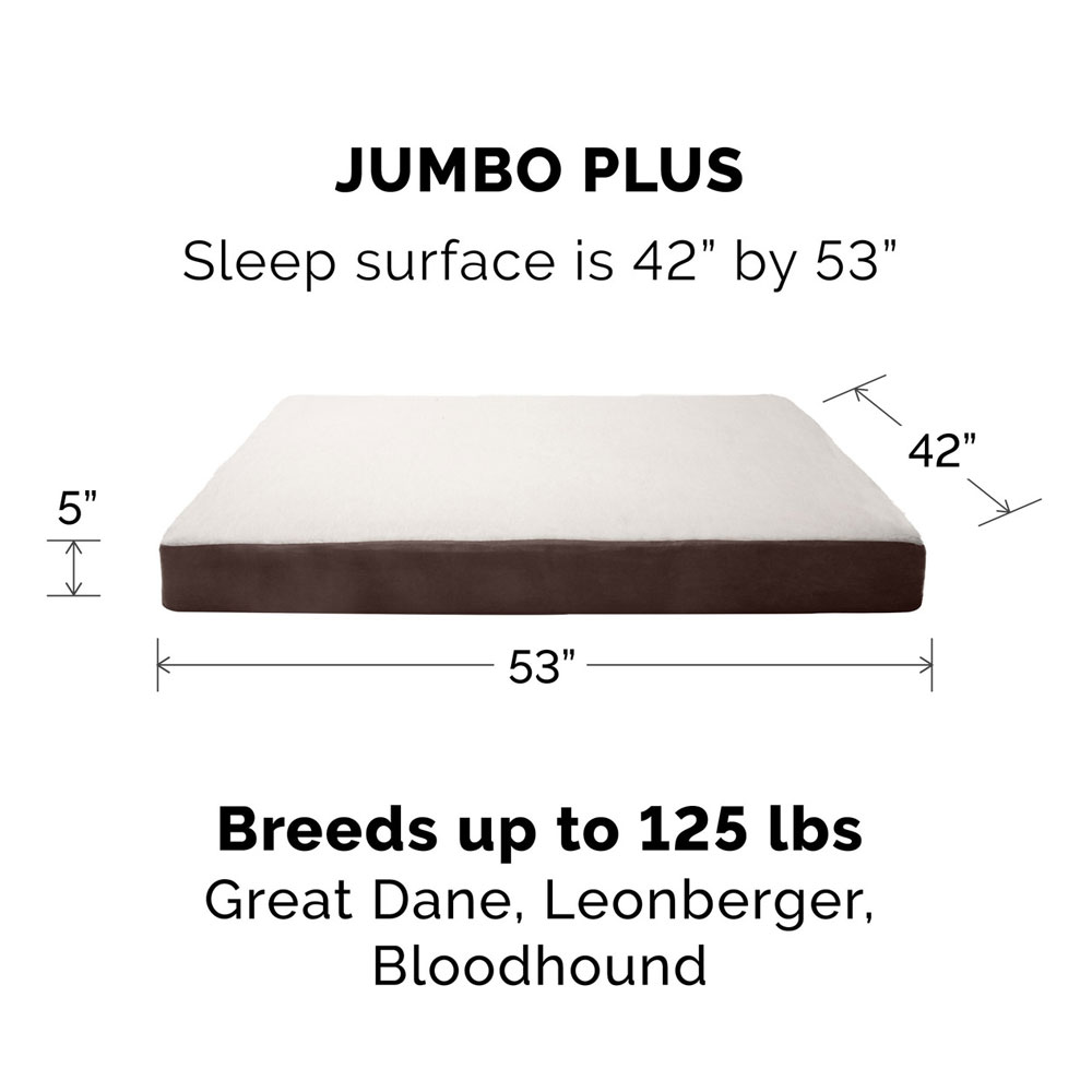 FUXSHEPSIN-SUEDMMRYFOM-PTBD-ESPRESO-JMBPLS