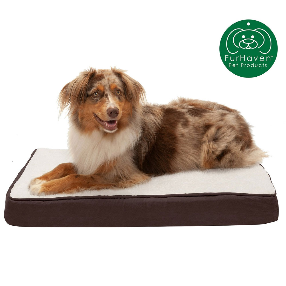 FUXSHEPSIN-SUEDMMRYFOM-PTBD-ESPRESO-MD