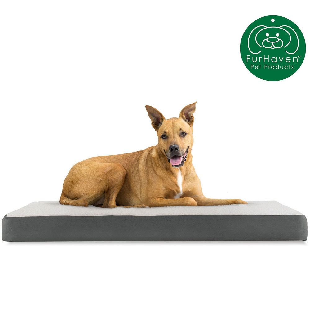 FUXSHEPSIN-SUEDMMRYFOM-PTBD-GRY-LG