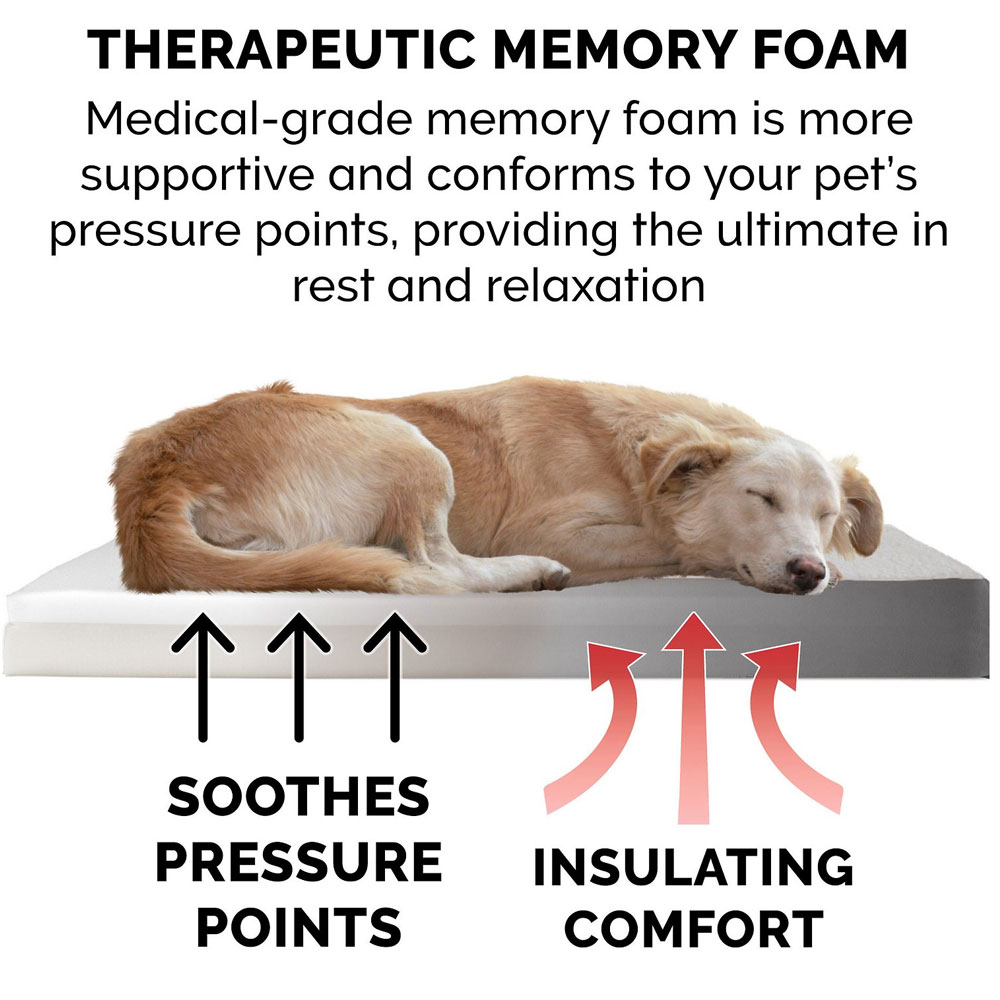 FUXSHEPSIN-SUEDMMRYFOM-PTBD-GRY-LG