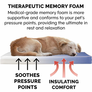 INDROUTDR-DLX-MMRYFOM-PTBD-BLETNTRM-SM
