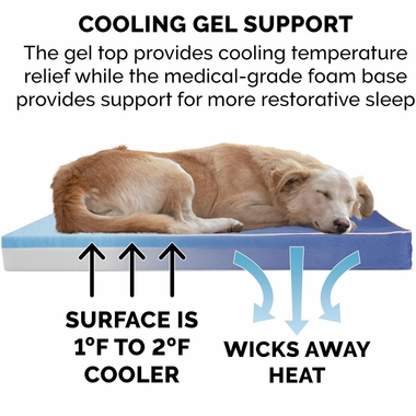 INDOR-OUTDOR-DLXSOLID-ORTHOMT-PTBD-BLU-SM