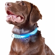 Furhaven LED Safety Pet Collar - Blue (Large)
