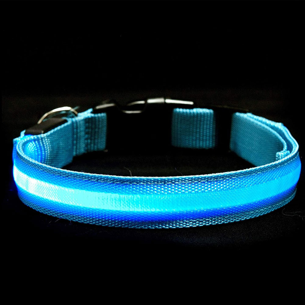 LED-SAFETY-PET-COLLAR-BLUE-MD