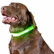 Furhaven LED Safety Pet Collar - Green (Medium)