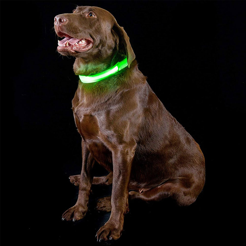 LED-SAFETY-PET-COLLAR-GREEN-SM