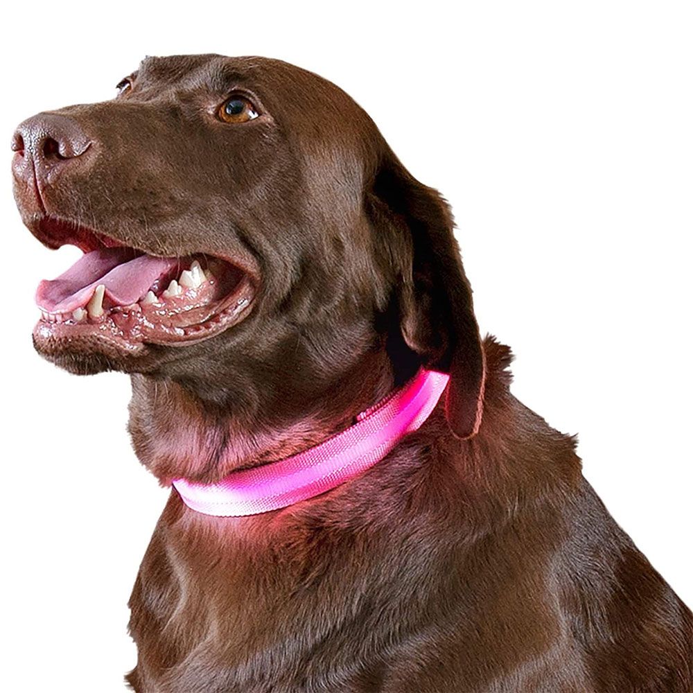 LED-SAFETY-PET-COLLAR-PINK-XLG