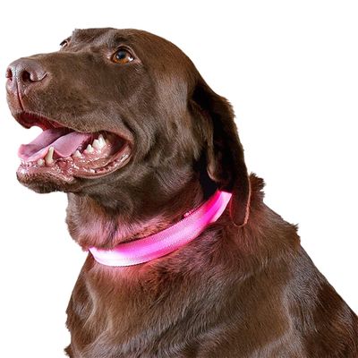 LED-SAFETY-PET-COLLAR-PINK-LG