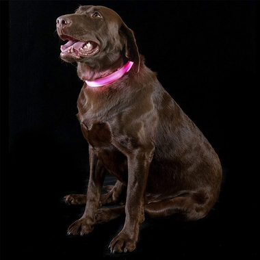 LED-SAFETY-PET-COLLAR-PINK-SM