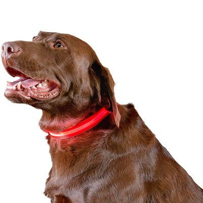 LED-SAFETY-PET-COLLAR-RED-XLG