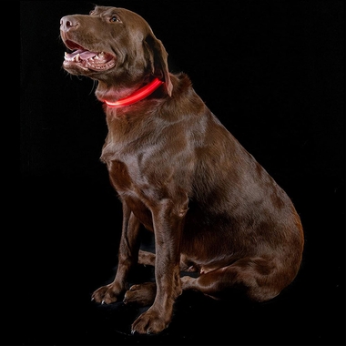 LED-SAFETY-PET-COLLAR-RED-XLG